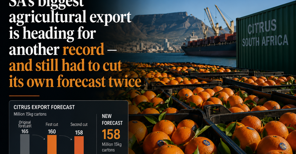 SA’s biggest agricultural export is heading for another record — and still had to cut its own forecast twice