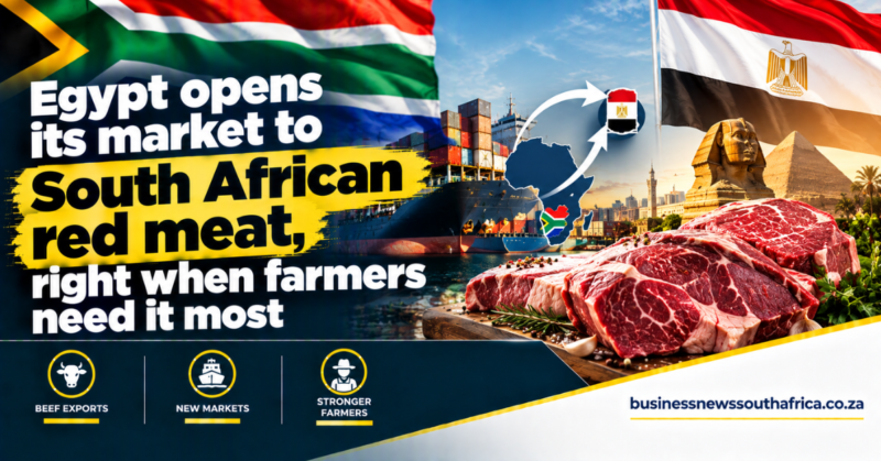 Egypt opens its market to South African red meat, right when farmers need it most