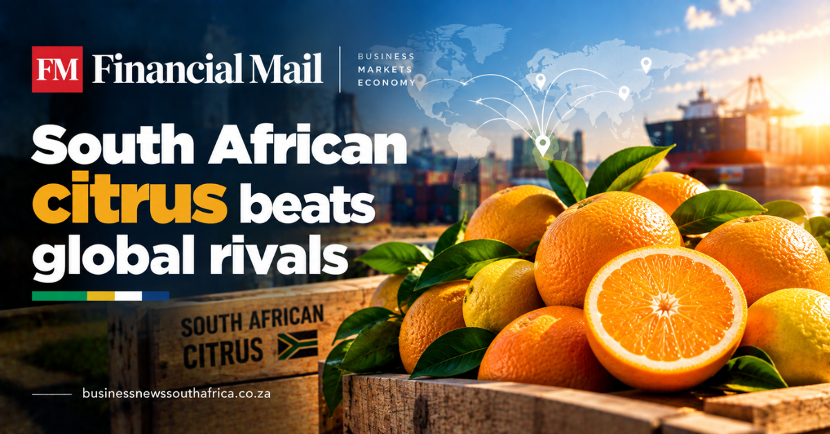 Financial Mail says South African citrus beats global rivals