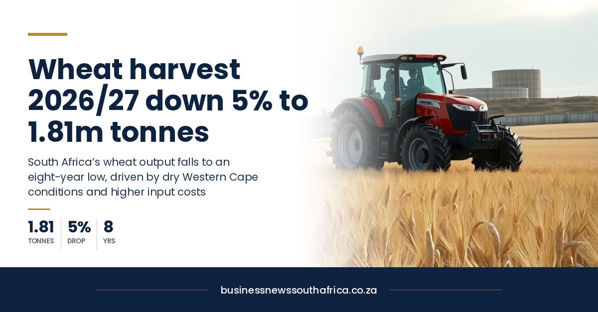 Wheat harvest set for eight-year low as costs bite